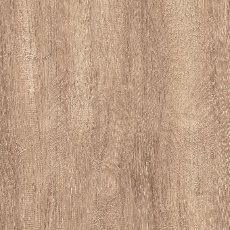 Rozet Zelfklevend 17-55MM Mountain Oak L. Grey per 10 stuks 24230 - Solza.nl