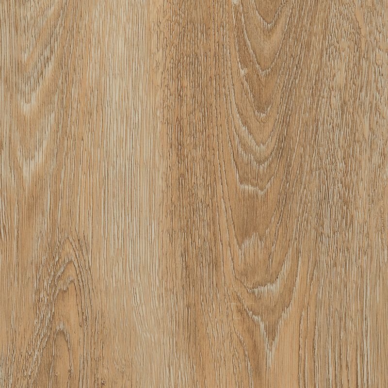 Rozet Zelfklevend 17-55MM Scarlet Oak Nature per 10 stuks 24208 - Solza.nl